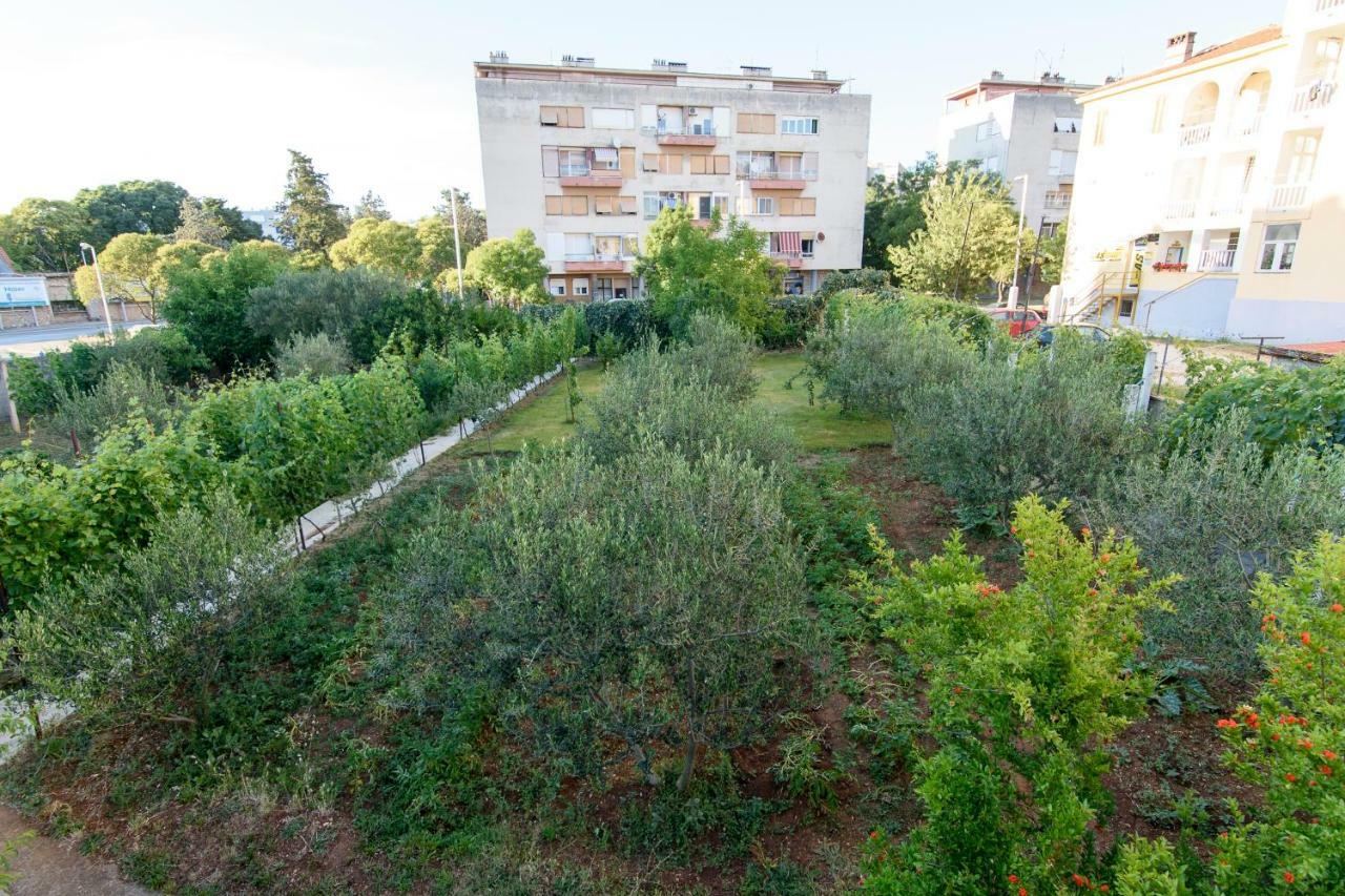 Apartment Relja Zadar Exterior photo